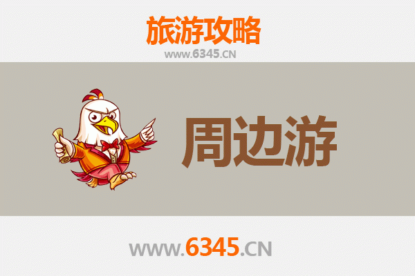 亳州涡阳周边游全攻略：探寻皖北历史与自然之美