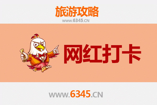涡阳网红打卡地全攻略：寻味药都古韵，邂逅皖北风情