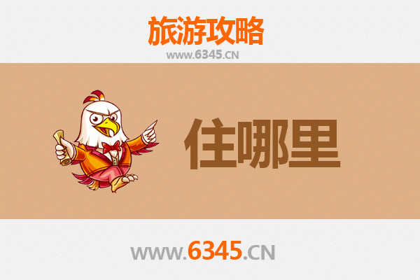 亳州涡阳旅游民宿全攻略：沉浸式体验皖北风情与道家文化